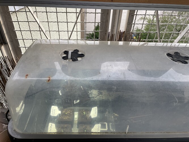 Growreport Bild 9
