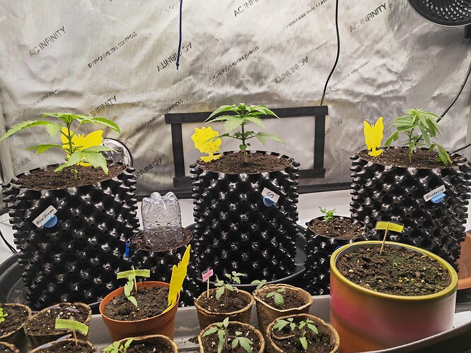 Growreport Bild 21