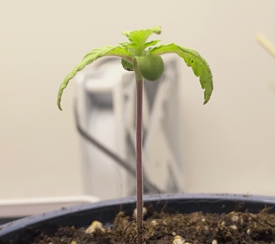 Growreport Bild 12