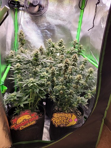 Growreport Bild 9