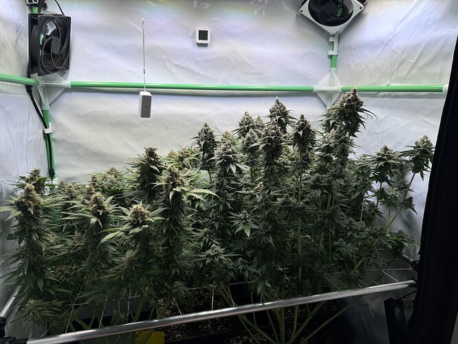 Growreport Bild 2