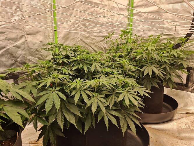 Growreport Bild 17