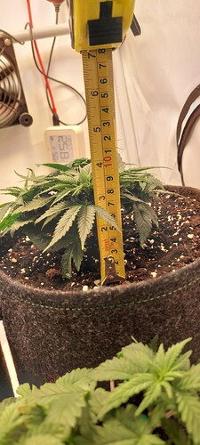 Growreport Bild 5