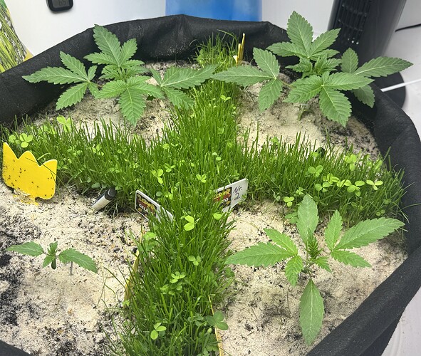 Growreport Bild 23