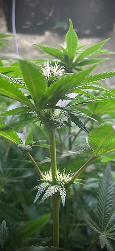 Growreport Bild 6