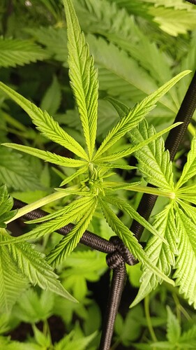 Growreport Bild 11