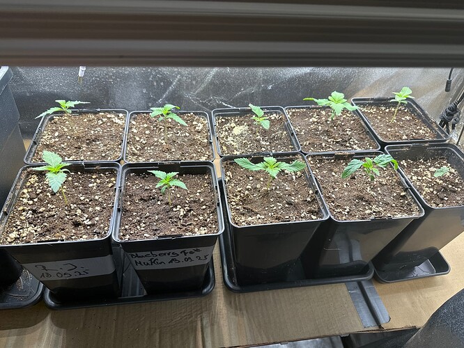 Growreport Bild 15