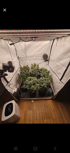 Growreport Bild 10