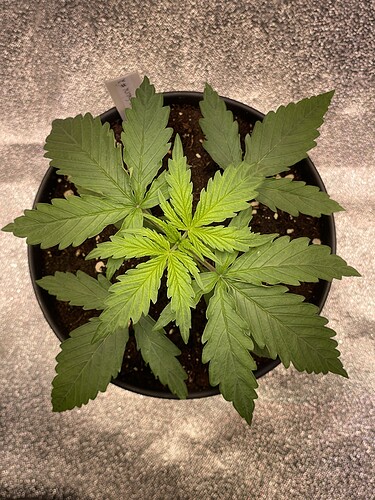 Growreport Bild 22