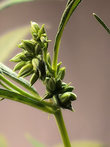 Growreport Bild 4