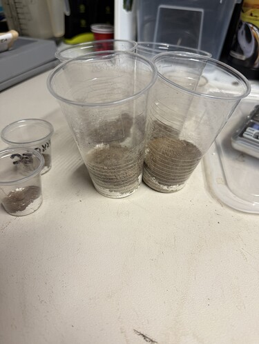 Growreport Bild 2
