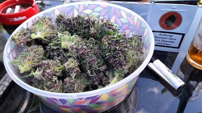 Growreport Bild 10