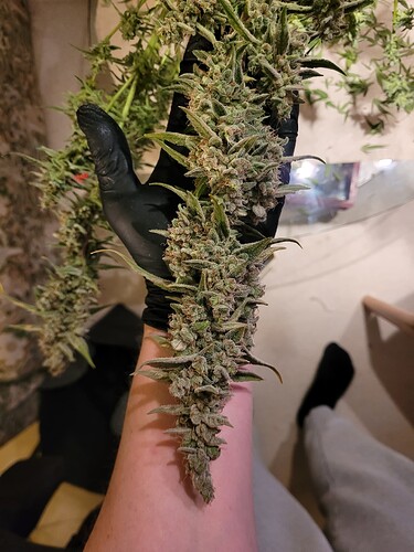 Growreport Bild 7