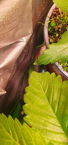Growreport Bild 14