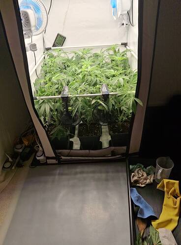 Growreport Bild 10