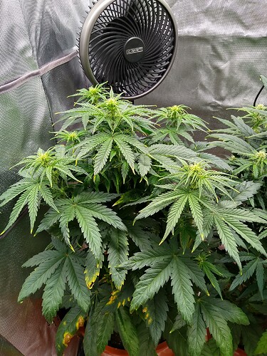 IMG_20240519_112048704_HDR