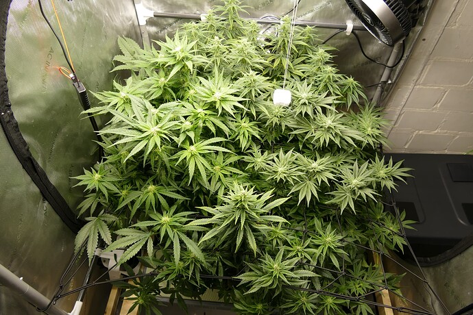 Übersicht_vorne_oben_VT69BT22