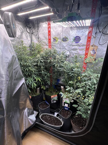 Growreport Bild 5