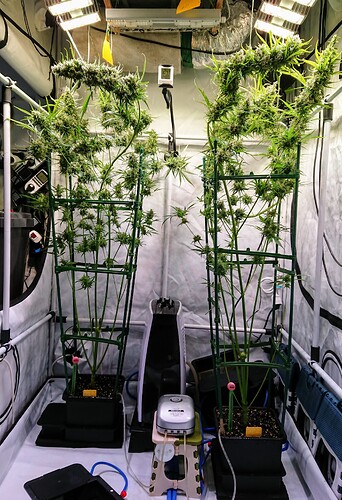 Growreport Bild 13