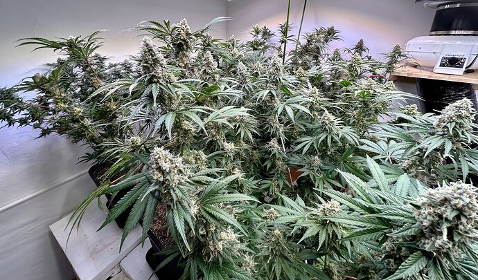 Growreport Bild 11