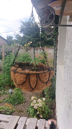 Growreport Bild 42