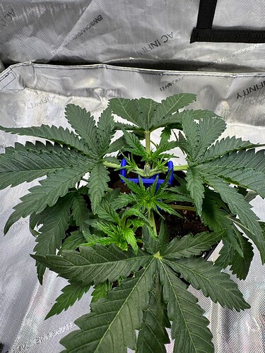 Growreport Bild 20