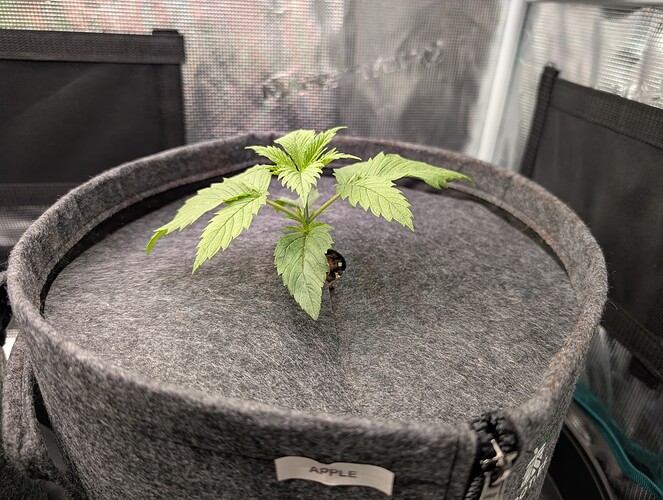 Growreport Bild 13