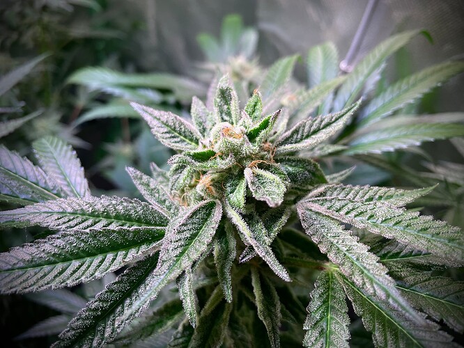 Growreport Bild 13
