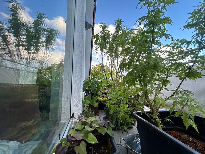 Growreport Bild 23