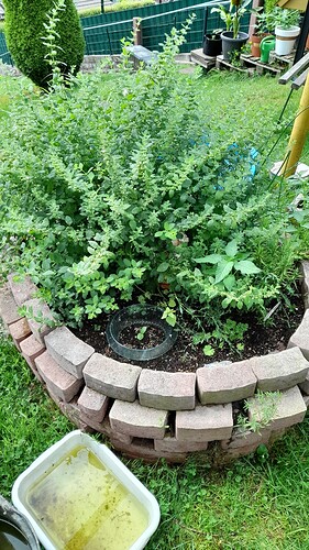 Growreport Bild 31