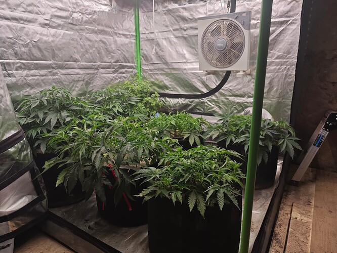 Growreport Bild 9