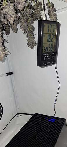 Growreport Bild 41