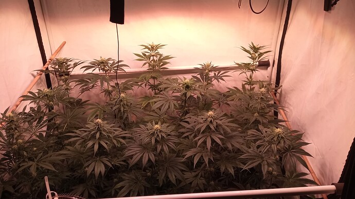 Growreport Bild 1