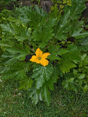 Growreport Bild 26