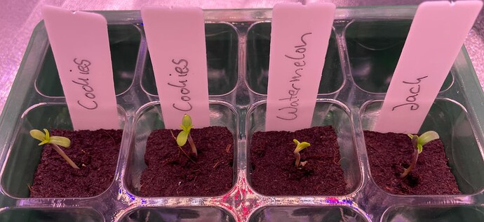 Bildschirmfoto 2024-05-05 um 10.05.26