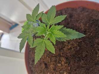 WhatsApp Image 2024-05-18 at 09.21.18 (3)