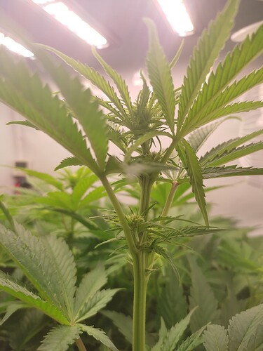 Growreport Bild 5