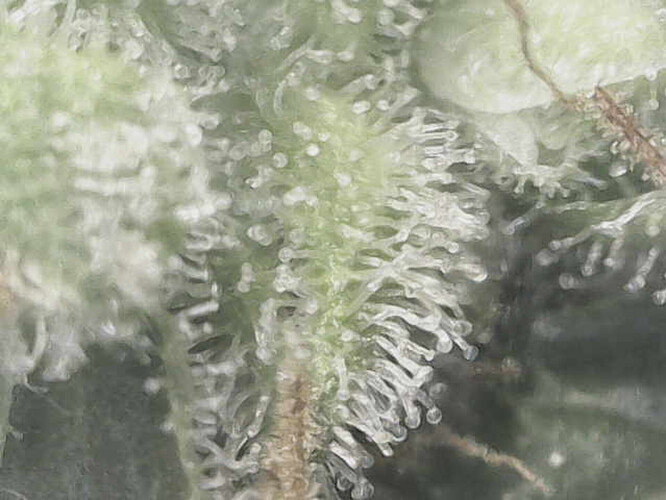 Growreport Bild 17