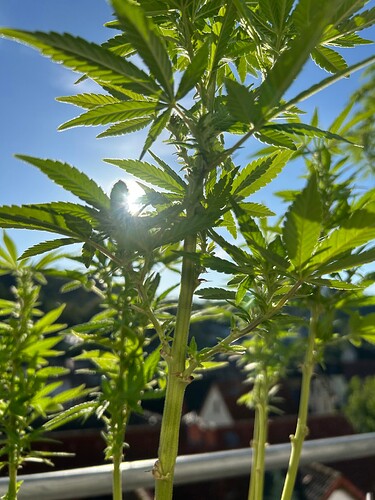 Growreport Bild 14