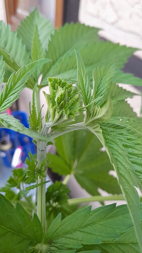 Growreport Bild 6