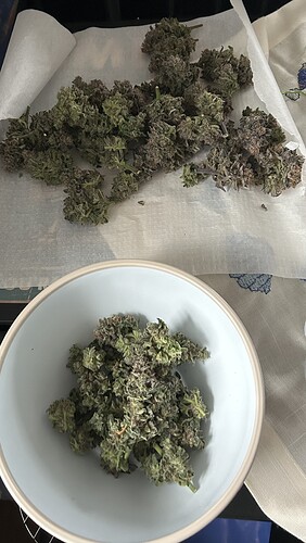 Growreport Bild 3