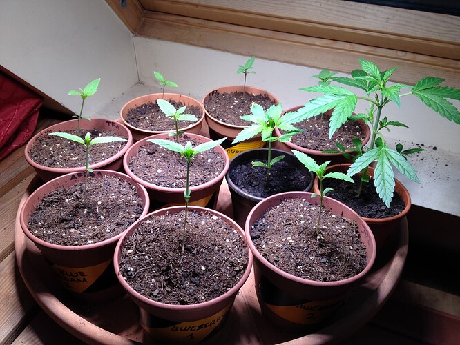 Growreport Bild 30