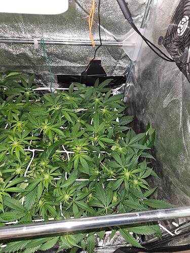 Growreport Bild 16