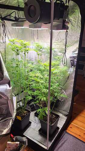 Growreport Bild 2