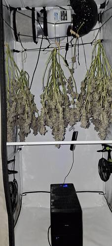 Growreport Bild 49