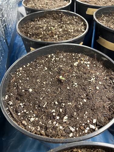 Growreport Bild 8