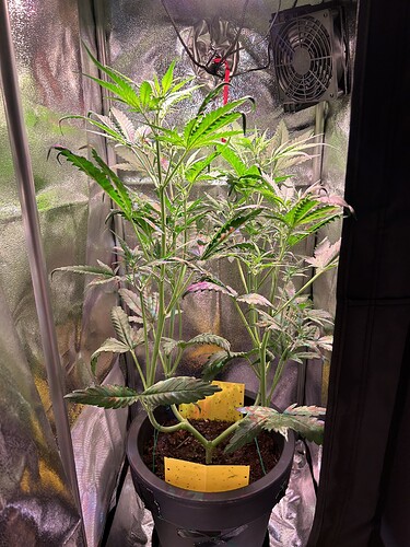 Growreport Bild 6