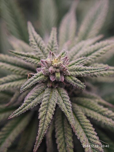 Growreport Bild 11