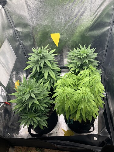 Growreport Bild 1