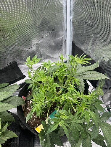 Growreport Bild 10